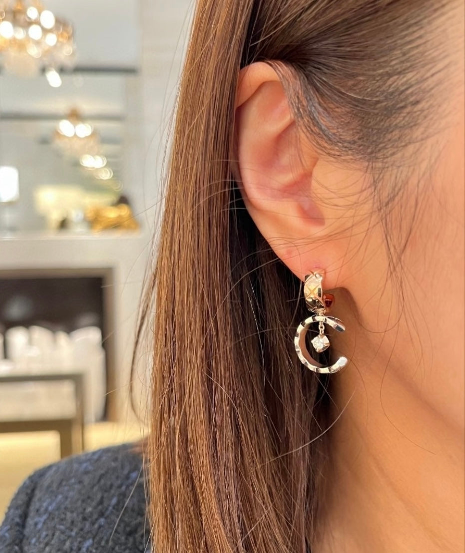 Assorted Style Earrings with Gift Box