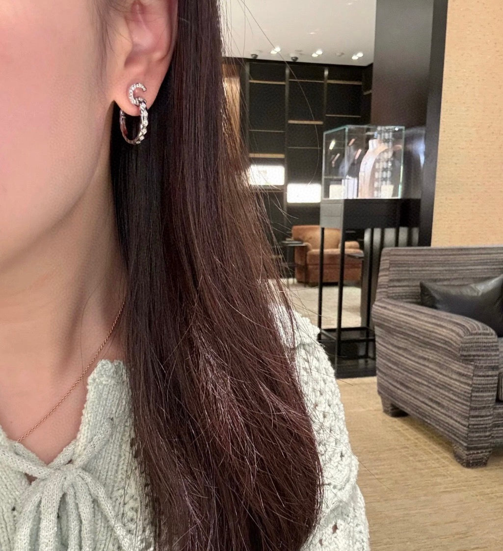 Assorted Style Earrings with Gift Box