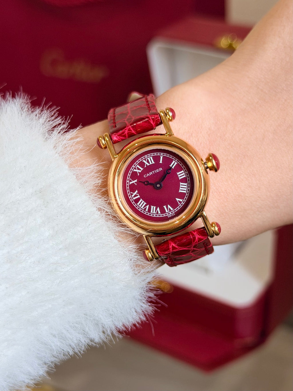 Watch detail