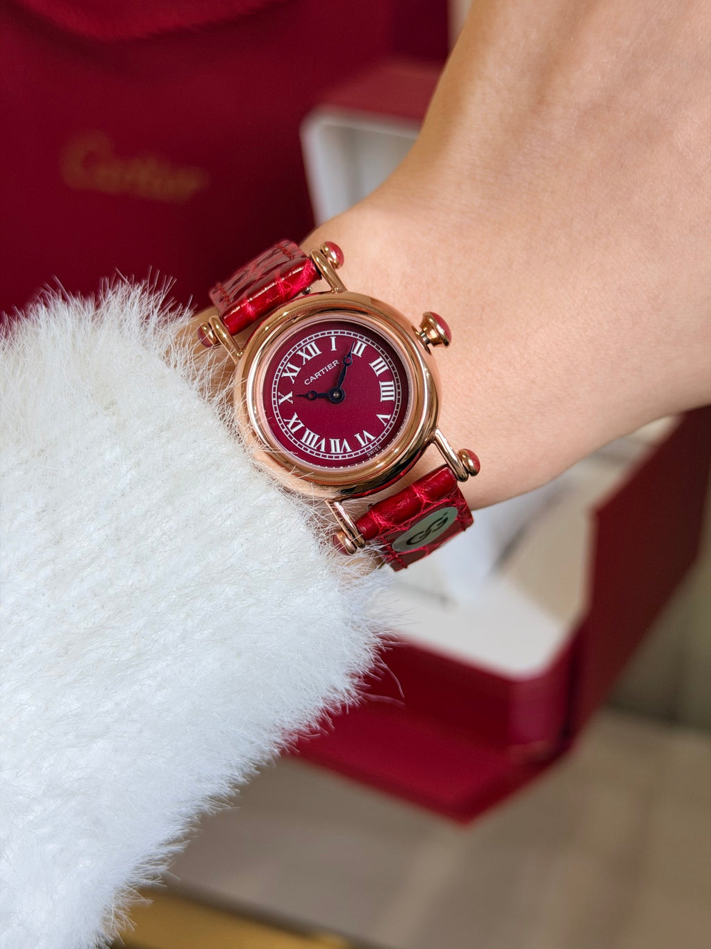 Watch detail