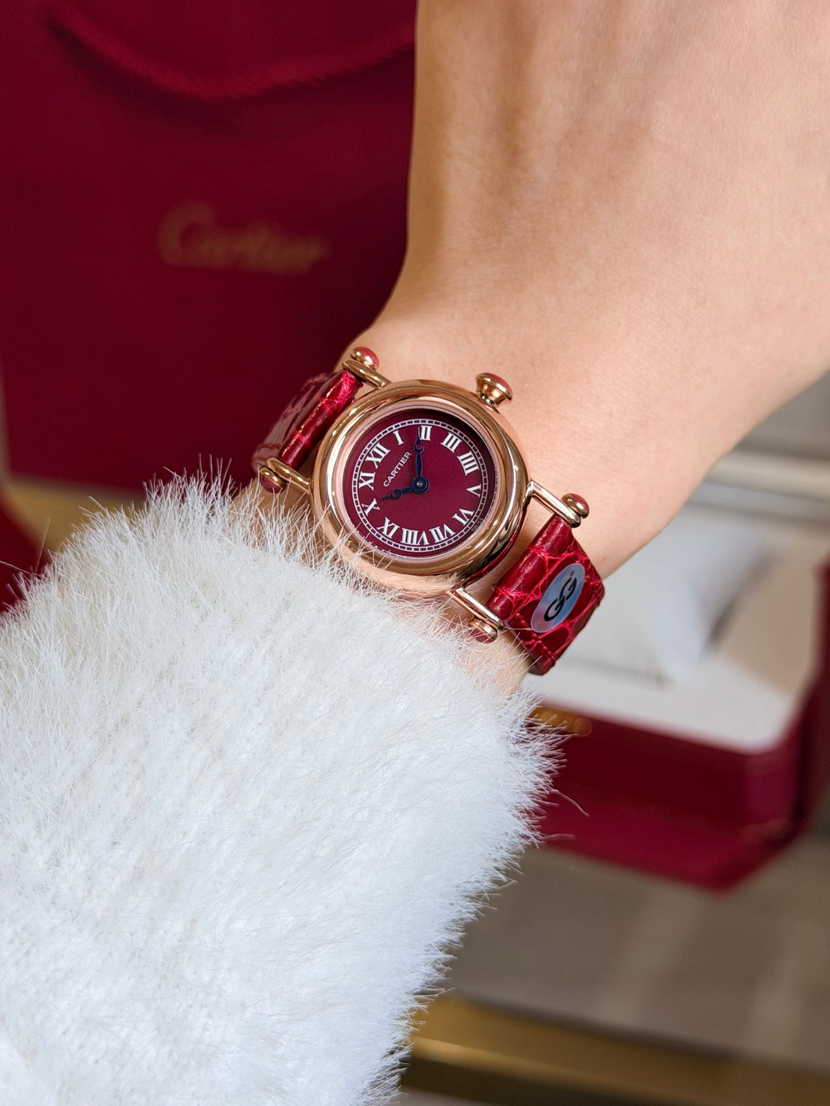 Watch detail