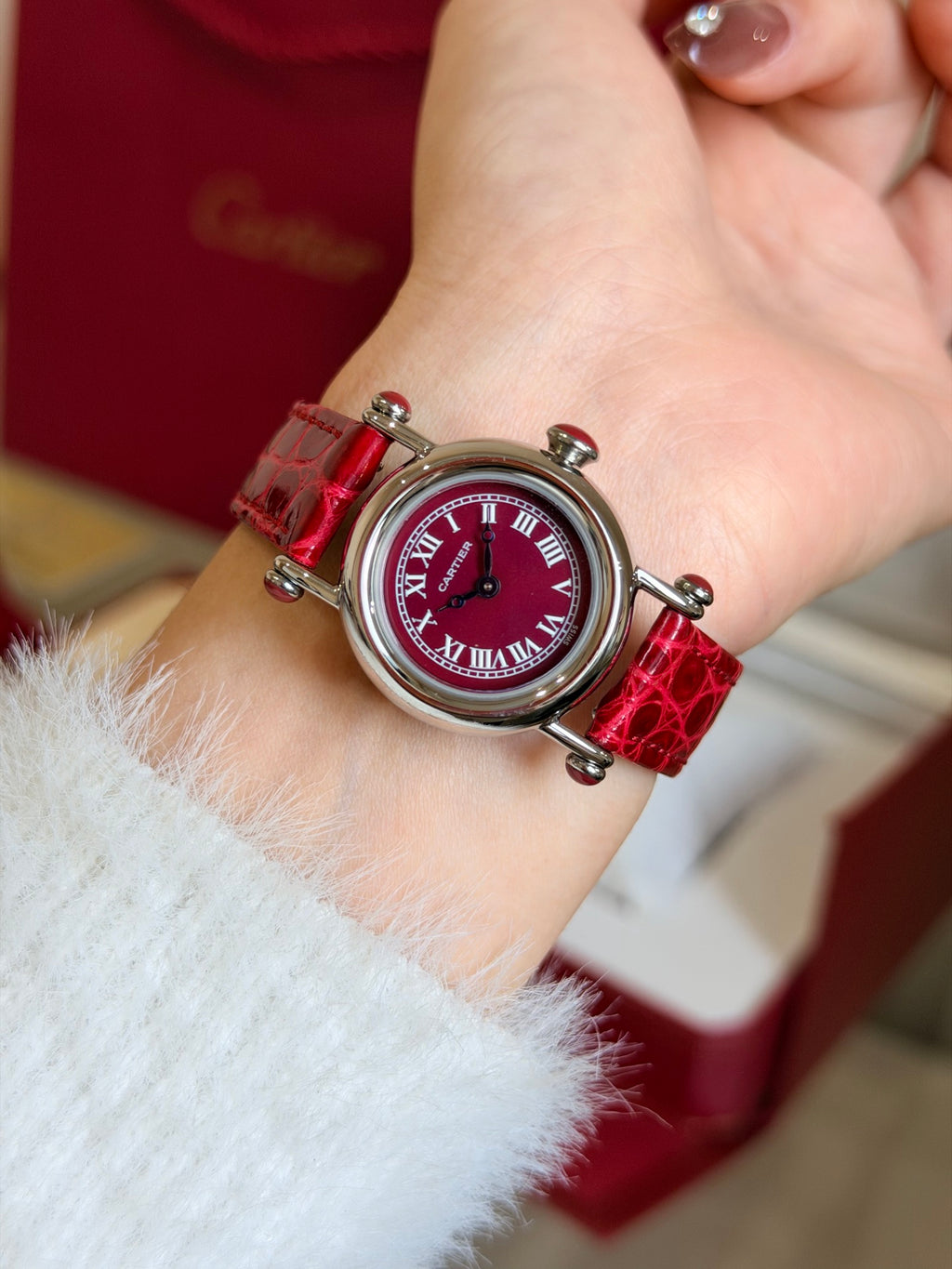 Watch detail
