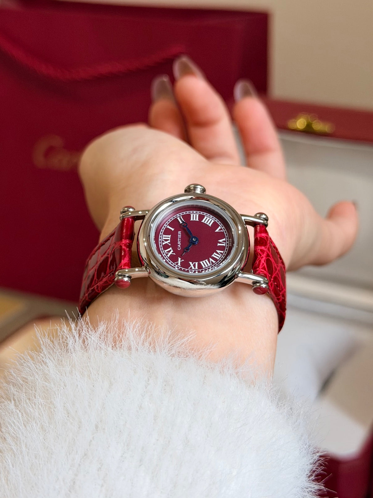Watch detail