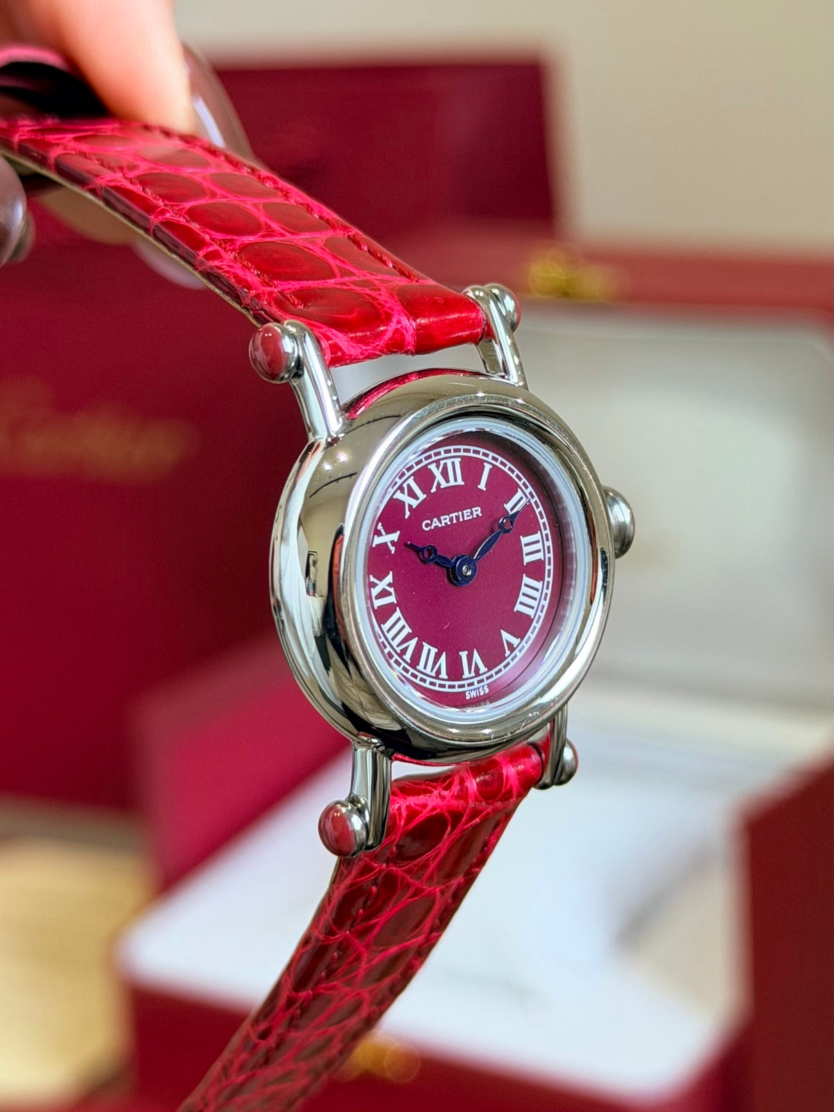 Watch detail