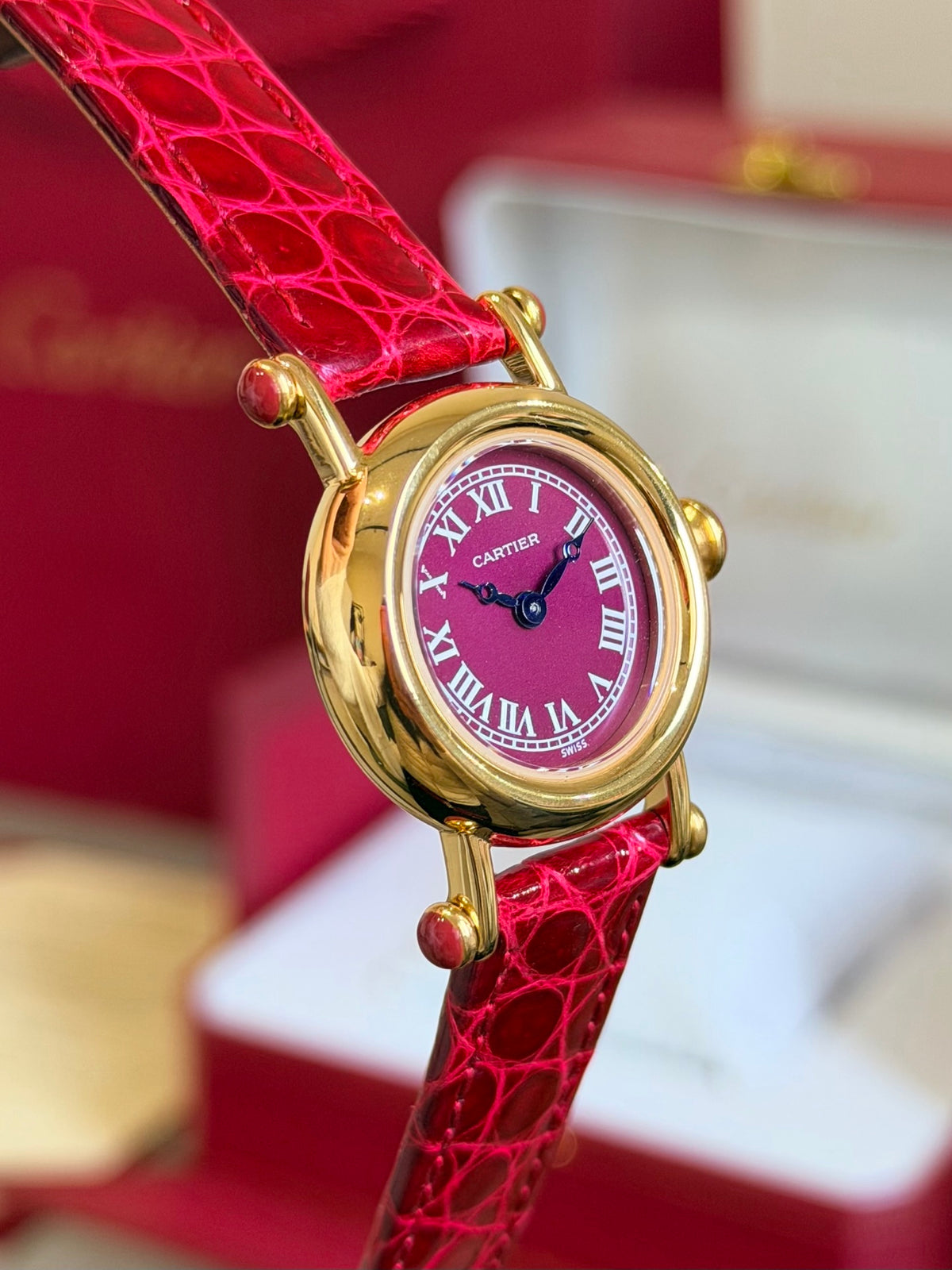 Watch detail