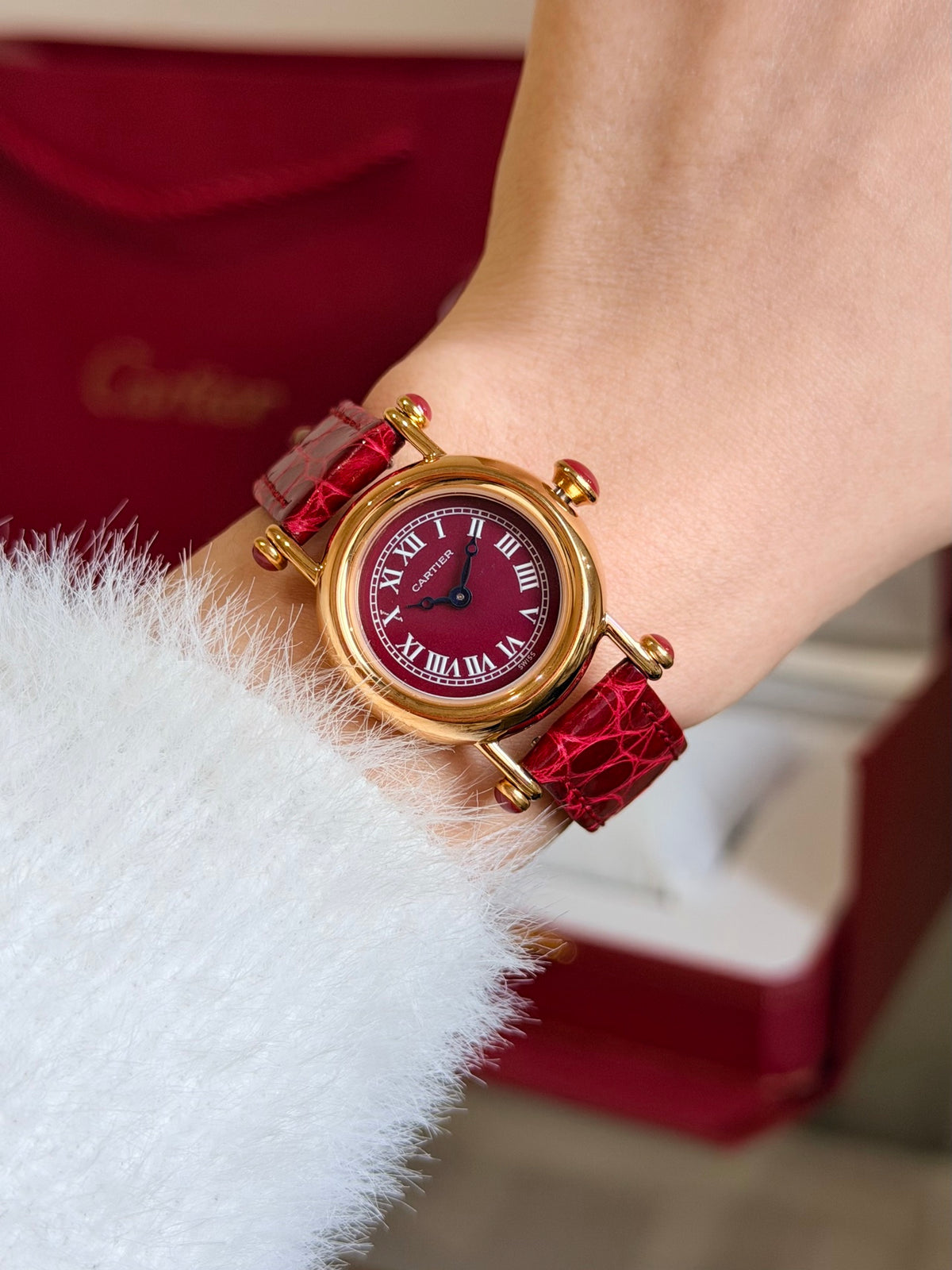 Watch detail