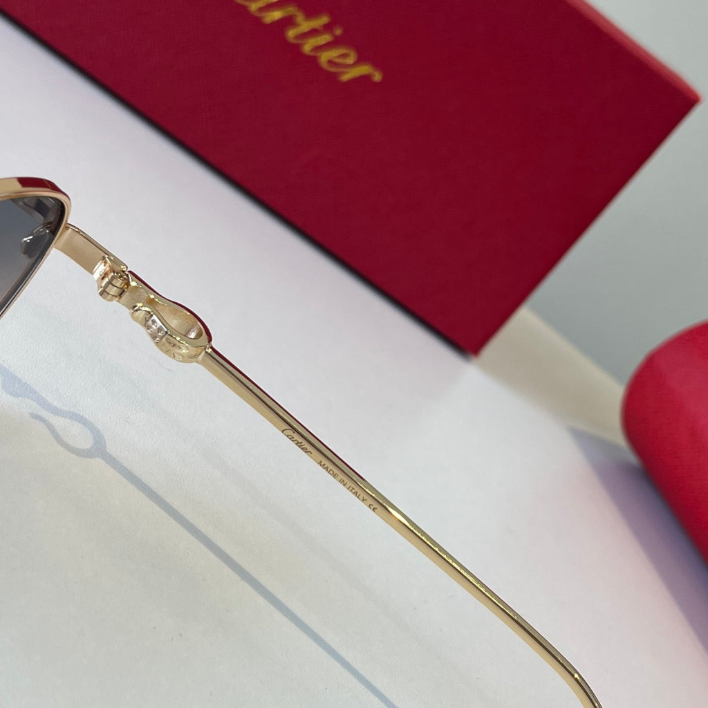 Eyewear product view