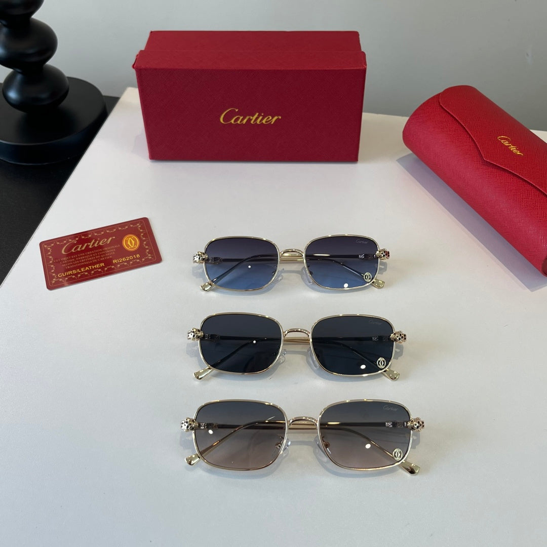 Eyewear product view