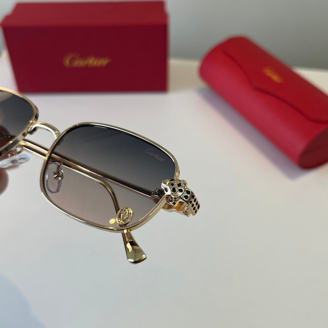 Eyewear product view