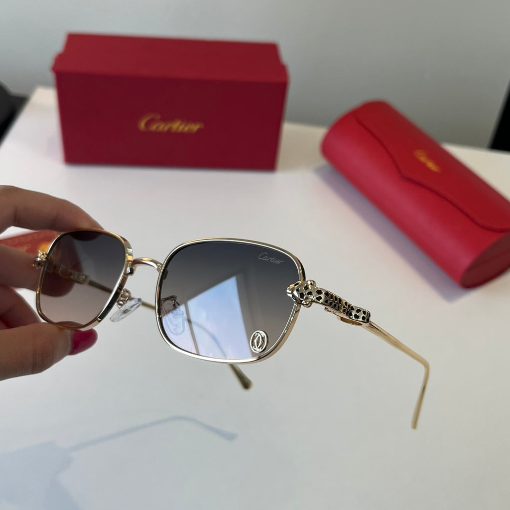 Eyewear product view