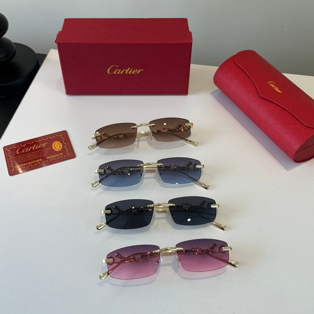 Eyewear product view
