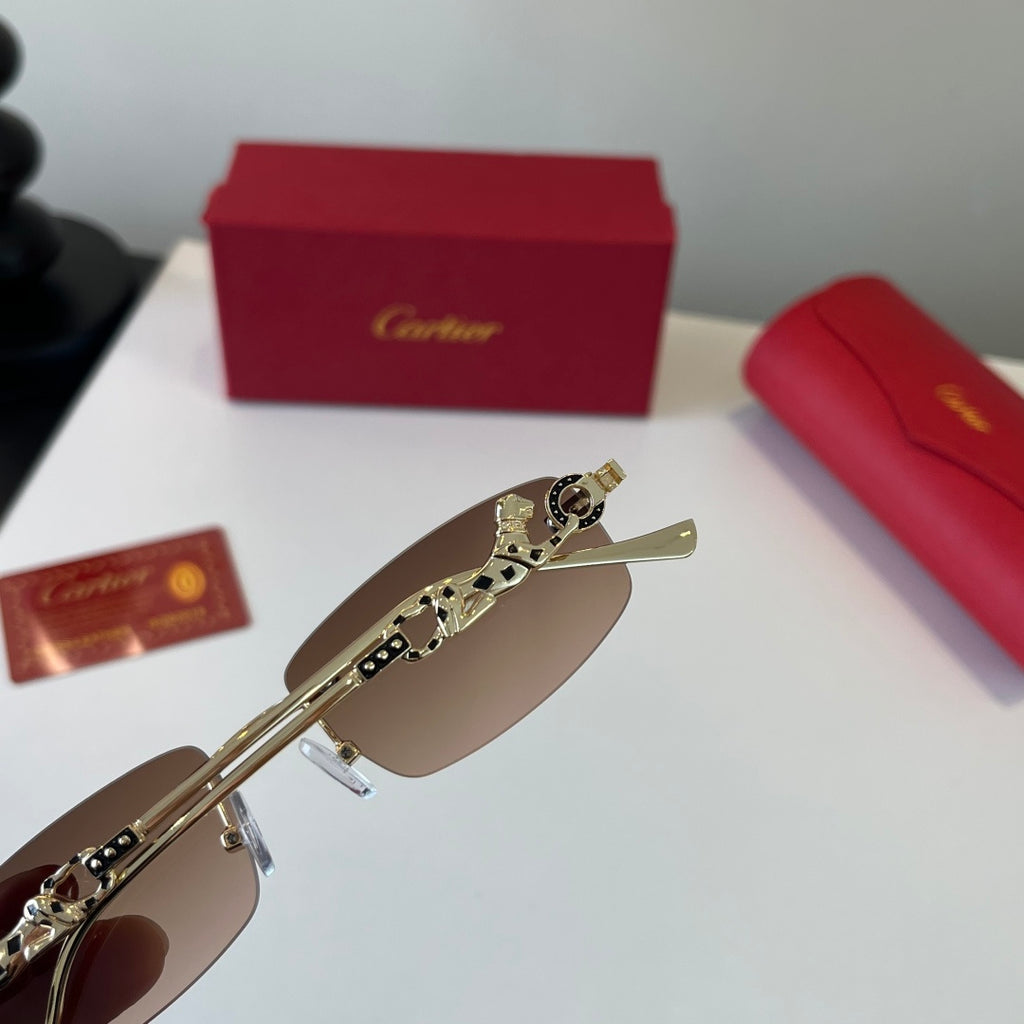 Eyewear product view